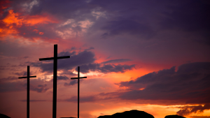 Closed for the Holid